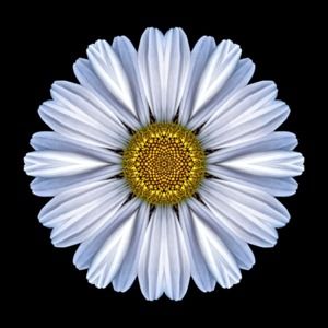 Meet your Posher, Coni